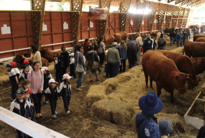 expo-Pabellón-Ganadero